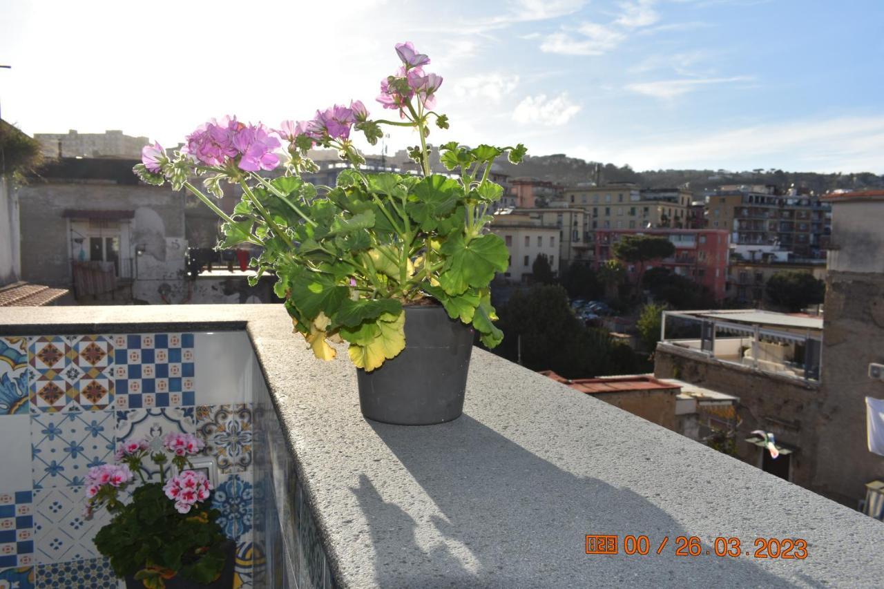 Casa Materdei Daire Napoli Dış mekan fotoğraf