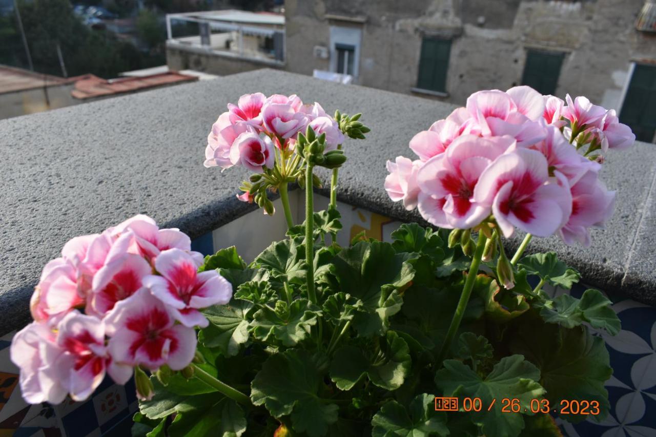 Casa Materdei Daire Napoli Dış mekan fotoğraf